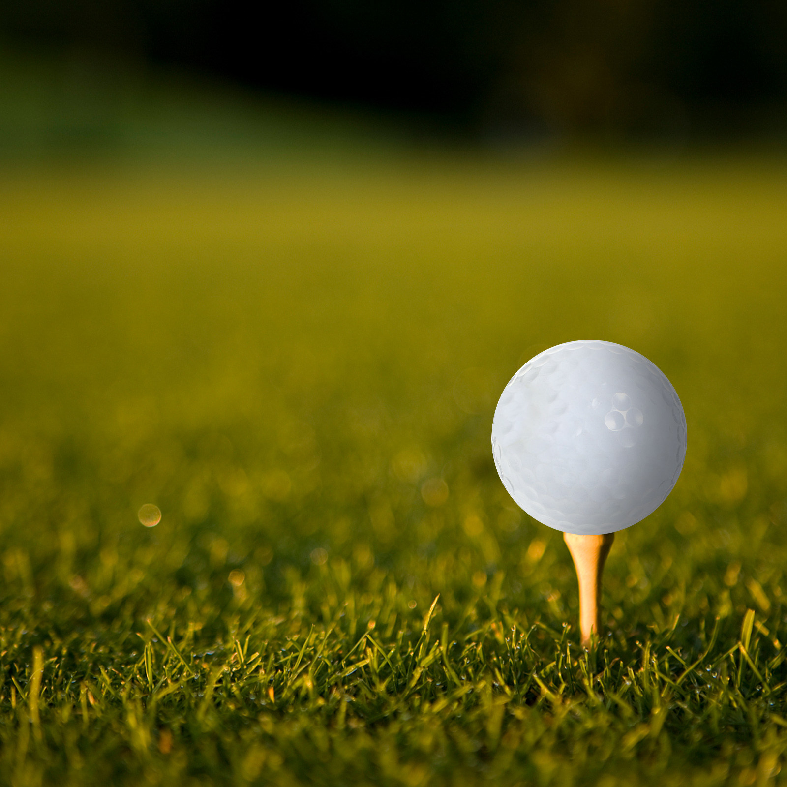 Bolas de golfe para prática em - Golf Equipment For Beginners avaliação e preço